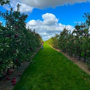 Meet your Posher, Jackie